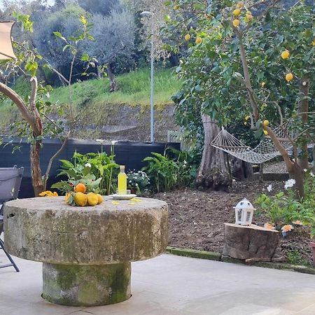 Rita Home B&B Sorrento Exterior photo